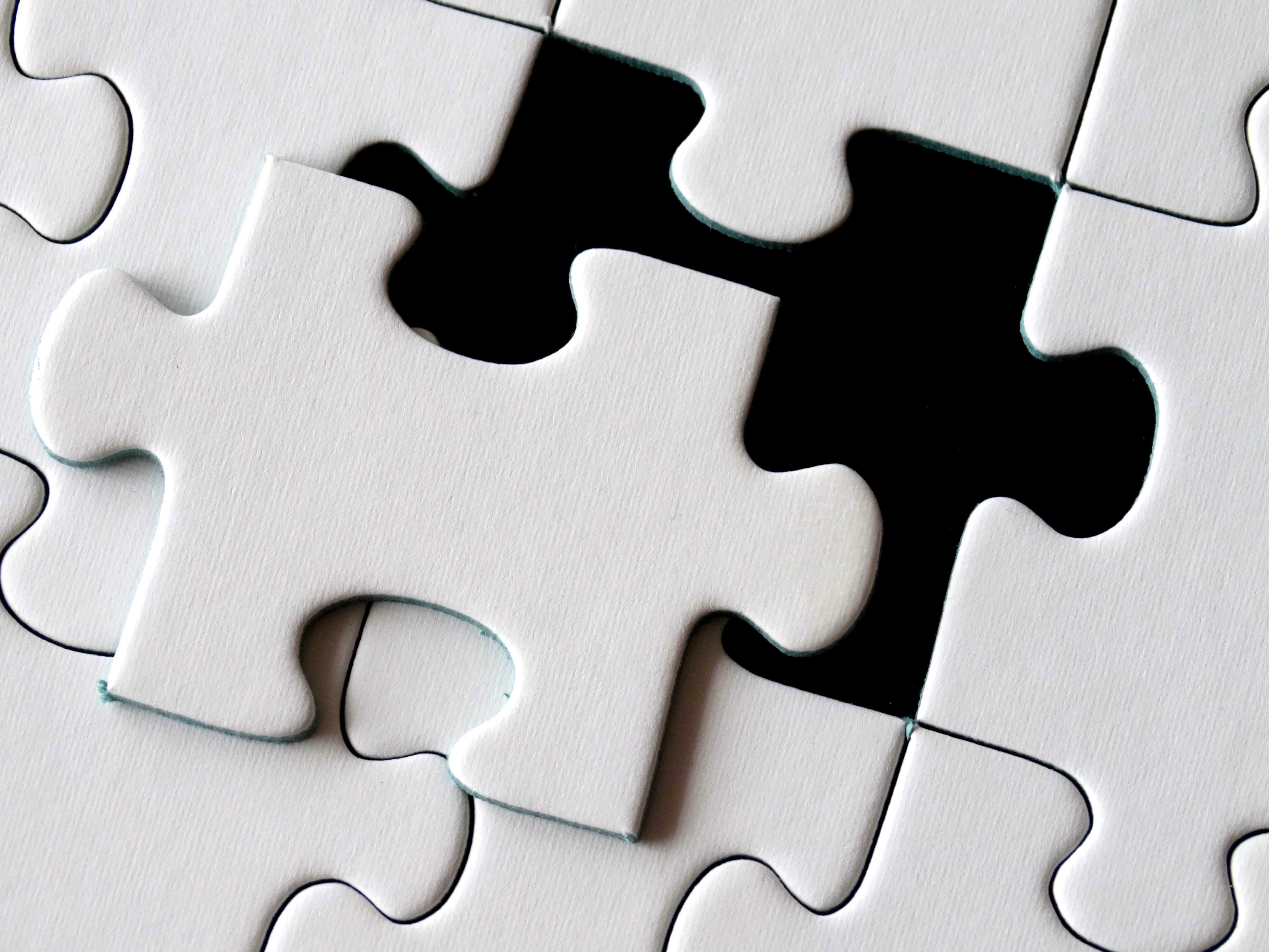 Puzzle Pieces of History Section 1