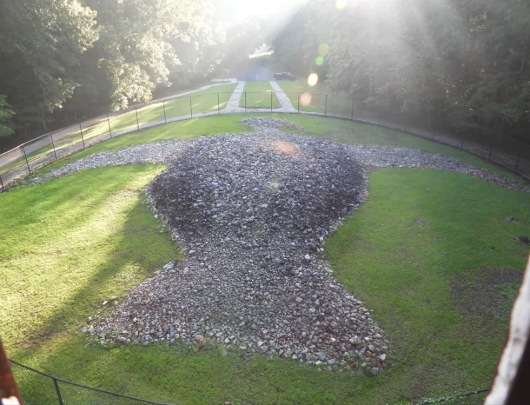 Rock Eagle and Rock Hawk: Ancient Effigies of Georgia